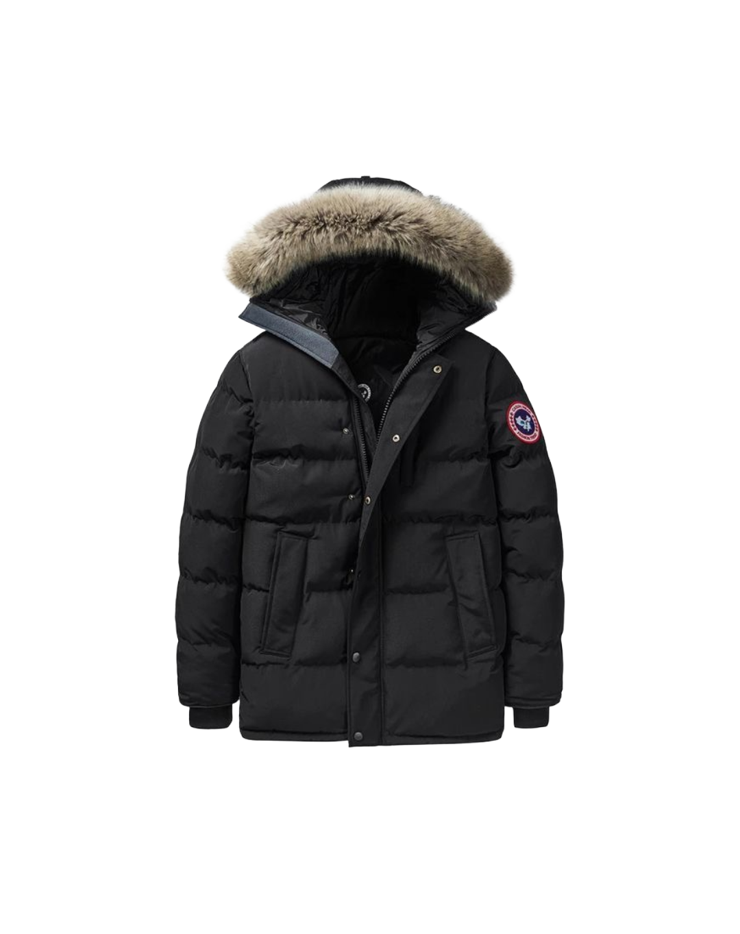 HEVIYA JACKET